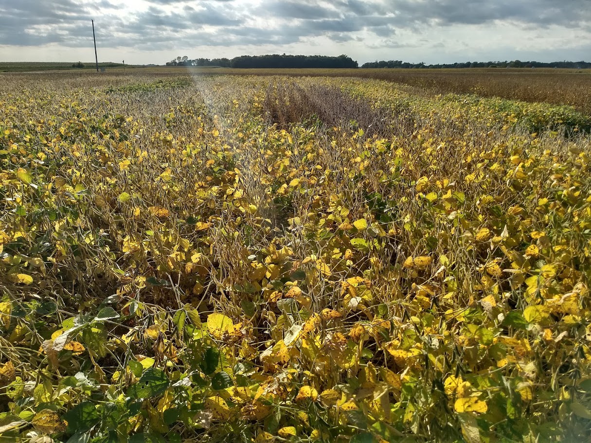 Fourteenth slide image