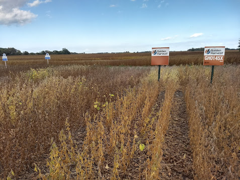 Fifteenth slide image