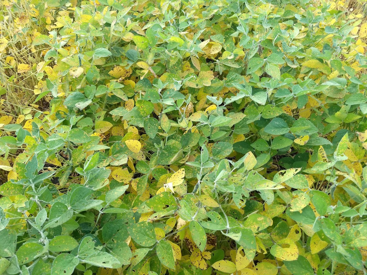 Sixteenth slide image