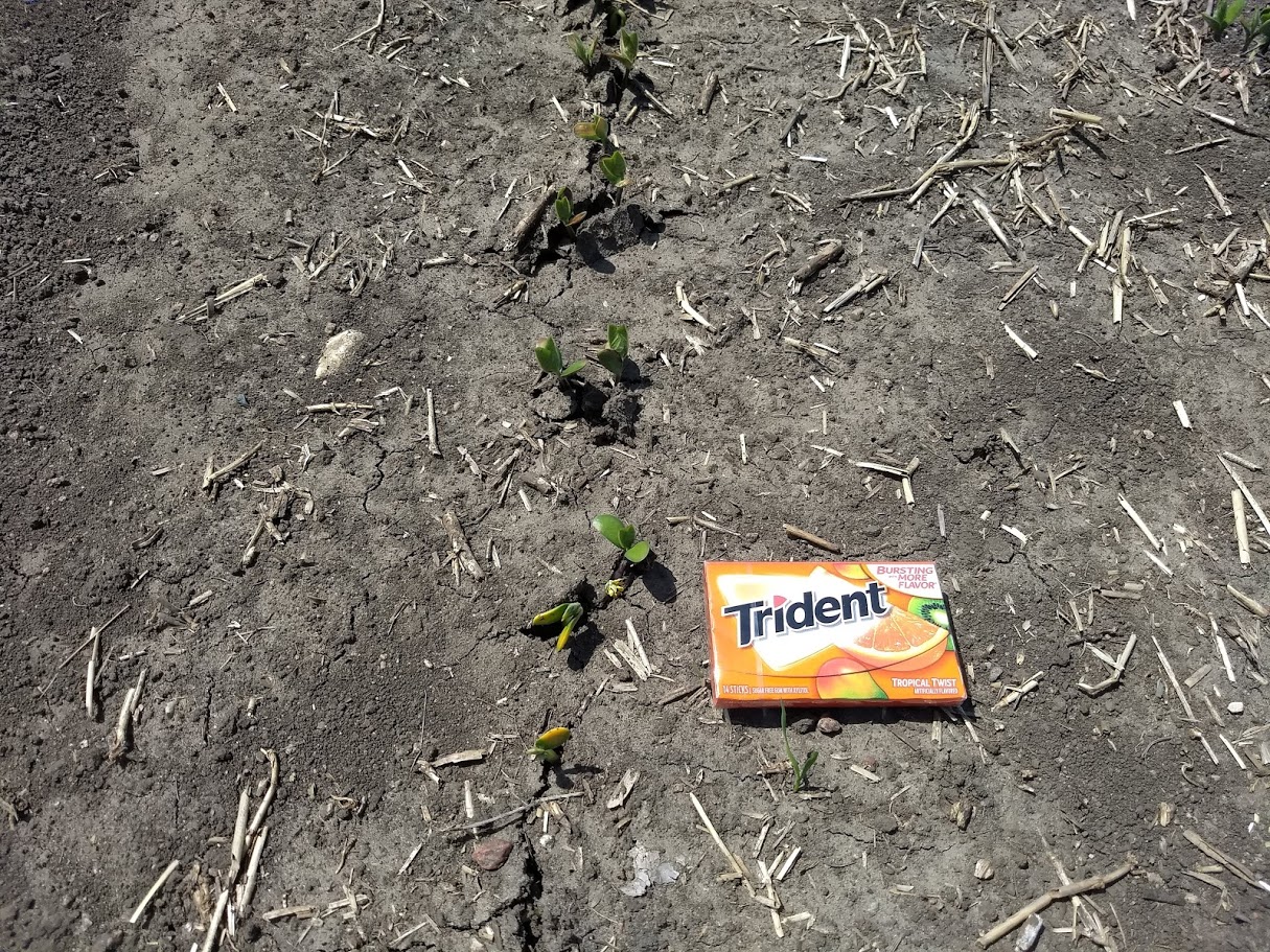 Seventeenth slide image