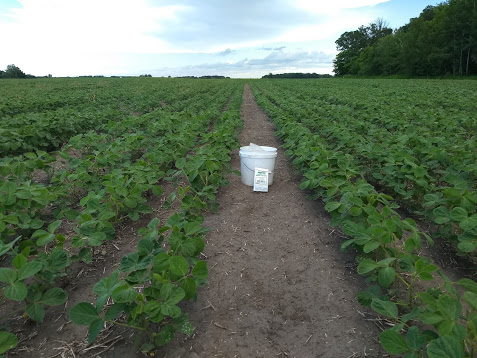 Eighteenth slide image