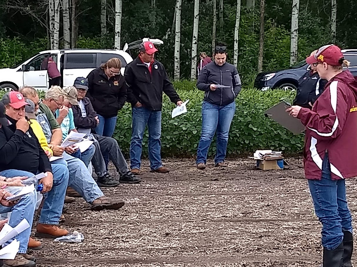 Twentieth slide image